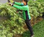 DEPAN DEPAN